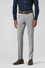 Load image into Gallery viewer, platinum