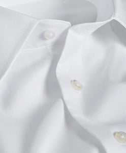 David Donahue- Super Fine Twill Dress Shirt